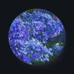 Assiettes En Carton Blue violet lilas romantique bleu floral photo<br><div class="desc">Lilacs violet violet violet romantique - photo de H Cooper</div>