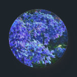 Assiettes En Carton Blue violet lilas romantique bleu floral photo<br><div class="desc">Lilacs violet violet violet romantique - photo de H Cooper</div>