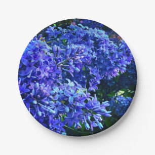 Assiettes En Carton Blue violet lilas romantique bleu floral photo