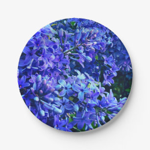 Assiettes En Carton Blue violet lilas romantique bleu floral photo