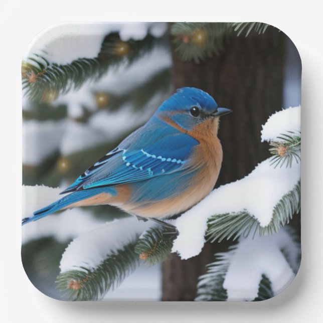 Assiettes En Carton Bluebird d'hiver (Recto)