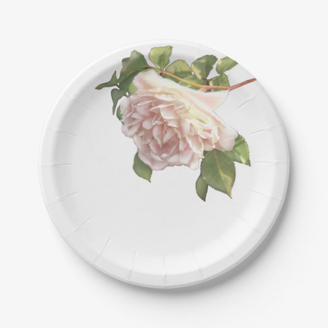 Assiettes En Carton Blushing Ivory Peach Rose (Devant)