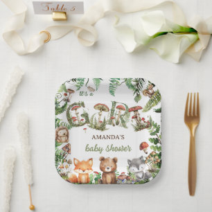 Assiettes En Carton Bois Animaux Forêt Cute bébé fille Douche