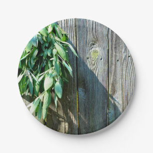 Assiettes En Carton Bois de Grange frais coupé