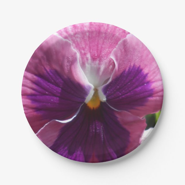 Assiettes En Carton Bonheur (Devant)