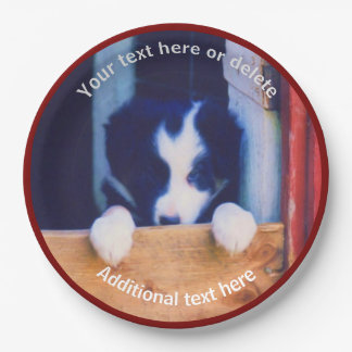 Assiettes En Carton Bordure Collie Chien Chien Chien Art Personnalisé