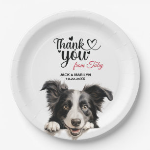 Assiettes En Carton Bordure Collie Chien Mariage Cocktail