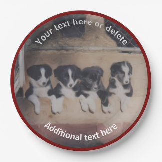 Assiettes En Carton Bordure Collie Puppies Art Personnalisé Party