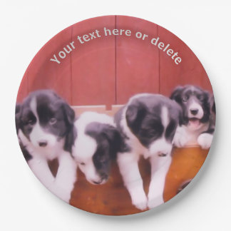 Assiettes En Carton Bordure Collie Puppies Art Personnalisé Party