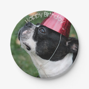 Assiettes En Carton Boston Terrier