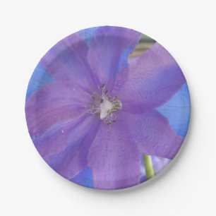 Assiettes En Carton Bowen