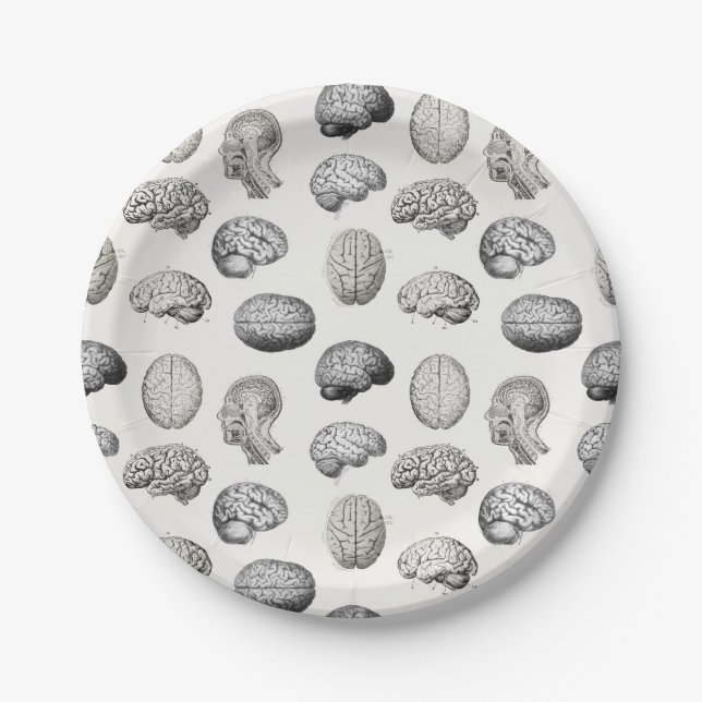 Assiettes En Carton Brain Anatomy Biology Illustrations (Devant)