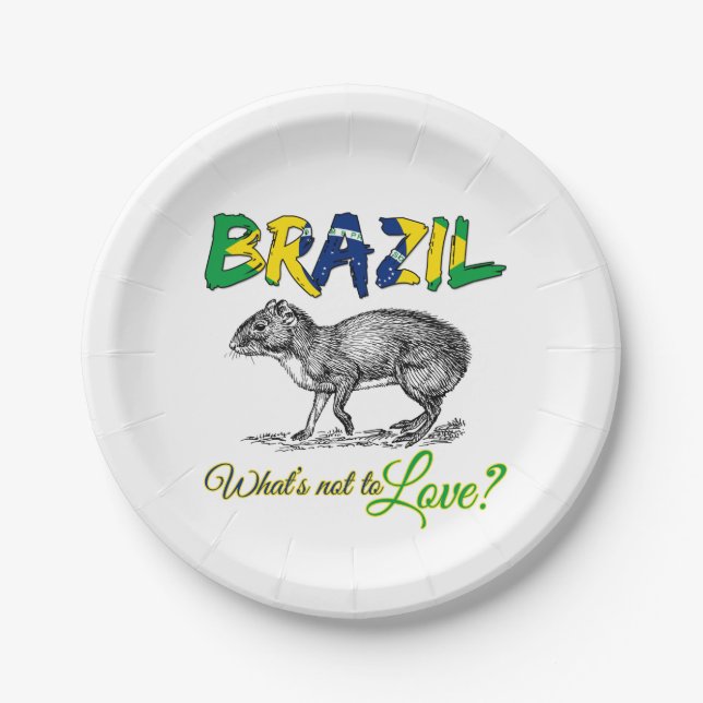 Assiettes En Carton Brésil Aimer Brasil Brésil - Cadeau Patriotique (Devant)