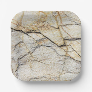 Assiettes En Carton Brown and Black Textured