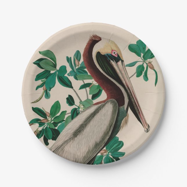 Assiettes En Carton Brown Pelican Birds of America Audubon (Devant)
