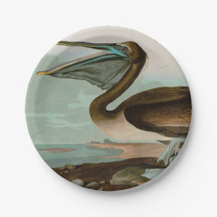 Assiettes En Carton Brown Pelican Birds of America Audubon