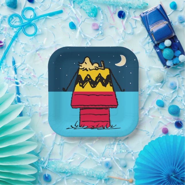 Assiettes En Carton cacahuètes | Woodstock Camping Demi et Demi (Fête)