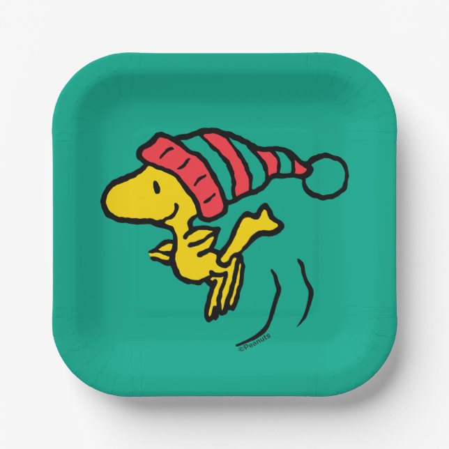 Assiettes En Carton cacahuètes | Woodstock Winter Beanie Casquette (Recto)