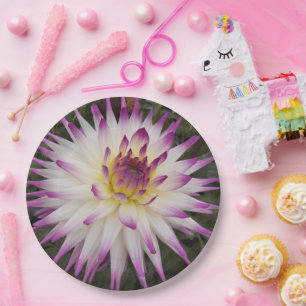 Assiettes En Carton Cactus blanc et violet Dahlia Floral
