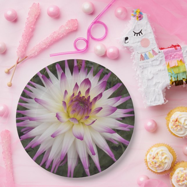 Assiettes En Carton Cactus blanc et violet Dahlia Floral (Fête)