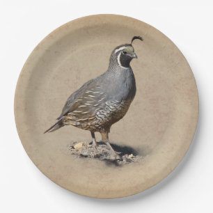 ASSIETTES EN CARTON CAILLES DE CALIFORNIE