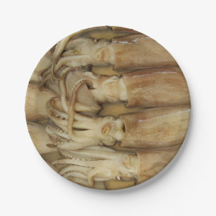 Assiettes En Carton Calamari