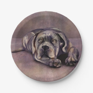 Assiettes En Carton Cane Corso - Italien Mastiff Puppy