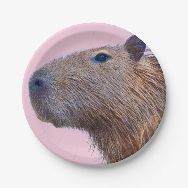 Assiettes En Carton Capybara (Devant)