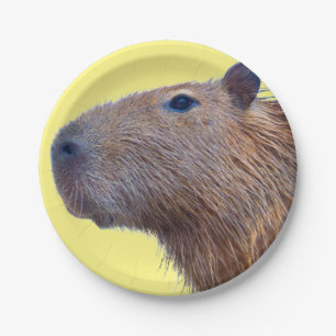 Assiettes En Carton Capybara