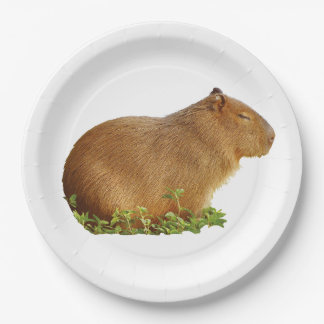 Assiettes En Carton capybara paper plate