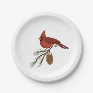 Assiettes En Carton Cardinal