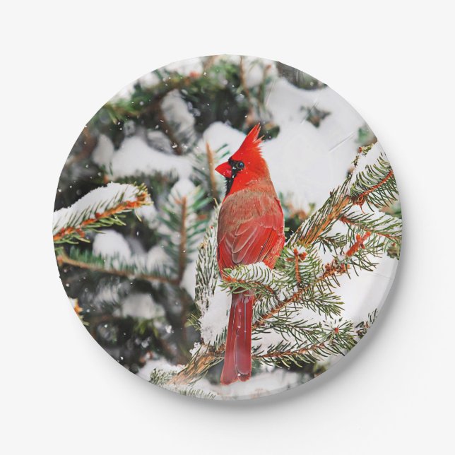 Assiettes En Carton Cardinal dans un pin (Devant)