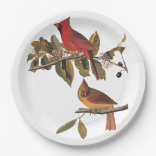 Assiettes En Carton Cardinal Grosbeak Audubon Birds of America