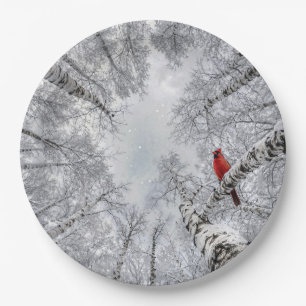 Assiettes En Carton Cardinal rouge dans une forêt de bouleaux blancs h