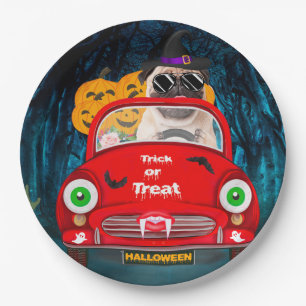 Assiettes En Carton Carlin Chien voiture voiture effrayant Halloween