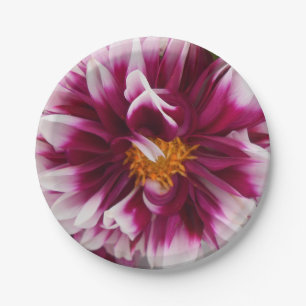 Assiettes En Carton Cartheuserine