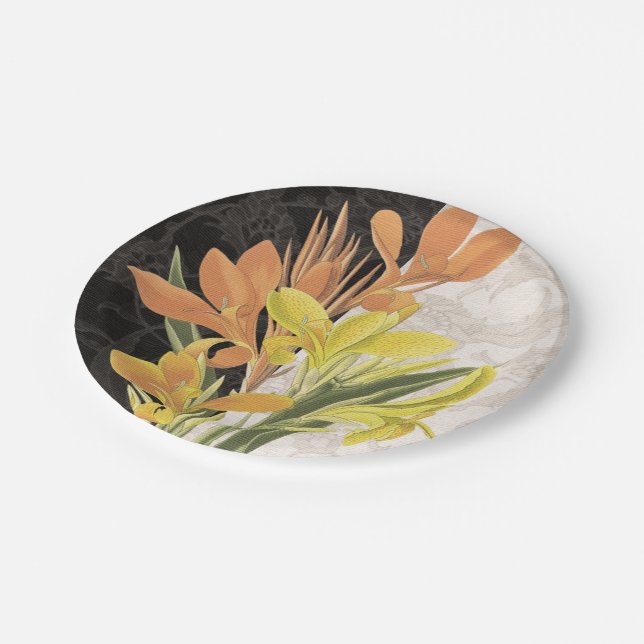 Assiettes En Carton Centre I (Angle)