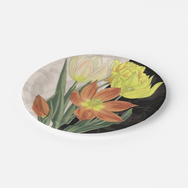 Assiettes En Carton Centre II (Angle)