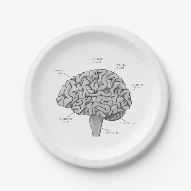 Assiettes En Carton Cerveau scientifique (Devant)