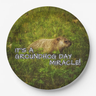 Assiettes En Carton C'est des plats d'un miracle de jour de groundhog
