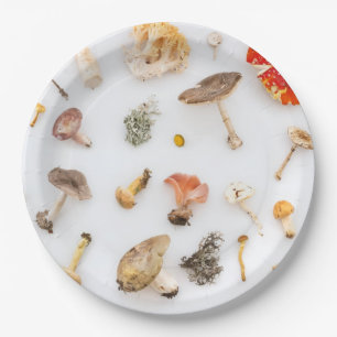 Assiettes En Carton Champignons