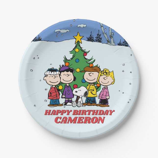 Assiettes En Carton Charlie Brown et ses amis Anniversaire d'hiver (Devant)