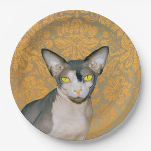 Assiettes En Carton Chat vintage de Sphynx de damassé d'or par des