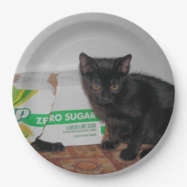 Assiettes En Carton Chatons (Devant)