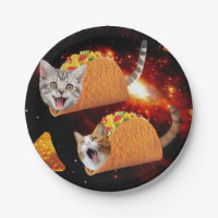 Chats dans les tacos spatiaux