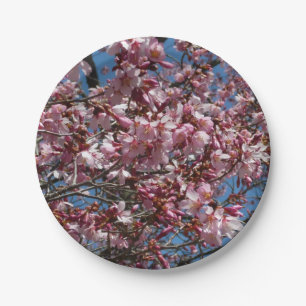 Assiettes En Carton Cherry Blossoms et Blue Sky Spring Floral