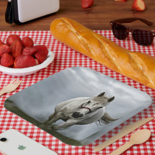 Assiettes En Carton Cheval blanc chargeant vers l'avant