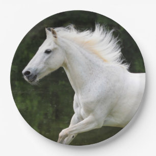 Assiettes En Carton Cheval blanc galopant