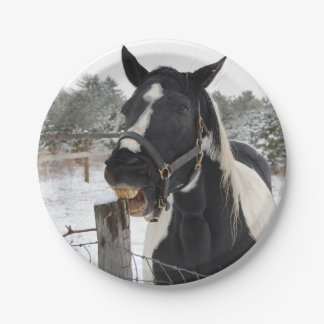 Assiettes En Carton Cheval mignon à mâcher sur une clôture