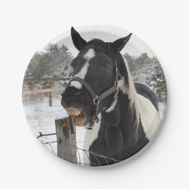 Assiettes En Carton Cheval mignon à mâcher sur une clôture (Devant)